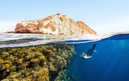 Top 5 Dive Spots You Should Explore This Year