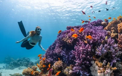 Behind the Scenes: A Day in the Life of a Travel Planner